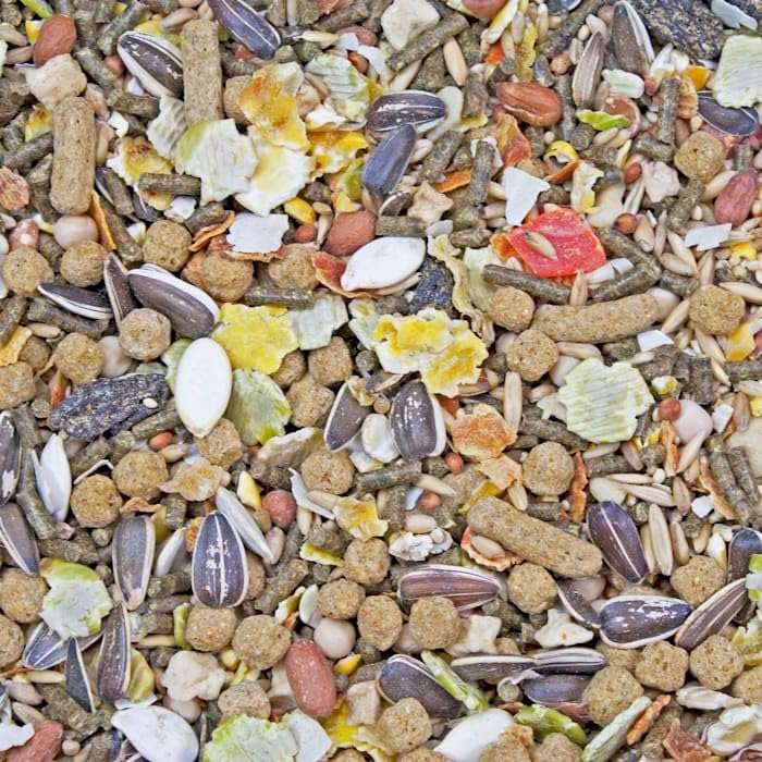 Higgins Sunburst Gourmet Food Mix For Hamsters And Gerbils - Image 2